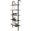 5 Tier Wall Shelf