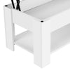 Modern Lift Top Coffee Table w/Hidden Storage & Shelf (5 Colors)