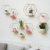 Hexagonical Iron Shelves