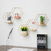 Hexagonical Iron Shelves